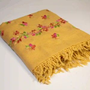 ladies pashmina shawl